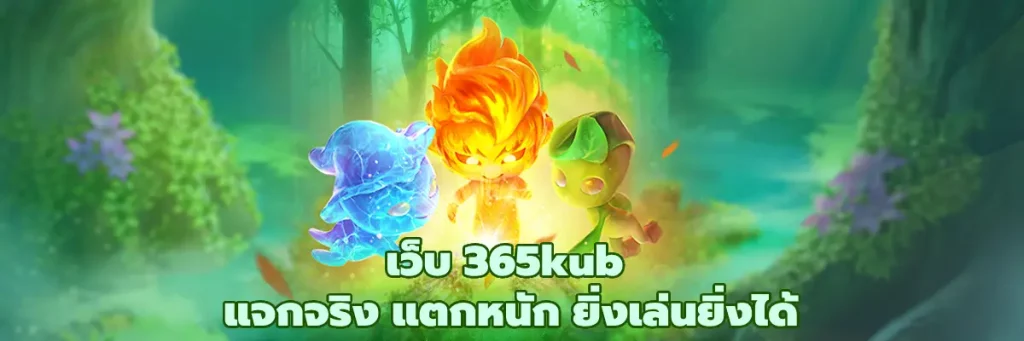 เว็บ 365kub